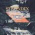 MT5-Step Index Icee MT5-Step Index Icee