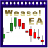 MT5-Stochastic EA golden Weasle MT5-Stochastic EA golden Weasle