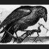 MT4-The Raven EA