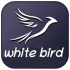 MT4-White bird MT4-White bird