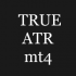 MT4-True ATR mt4 MT4-True ATR mt4