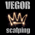 MT4-Vegor MT4-Vegor