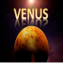 MT4-Venus Mt4 MT4-Venus Mt4