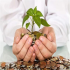 MT4-Win From Hedging MT4-Win From Hedging